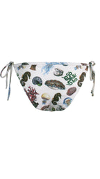 Ocean Jewels Bikini Bottom