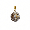 Silver Gold Charm