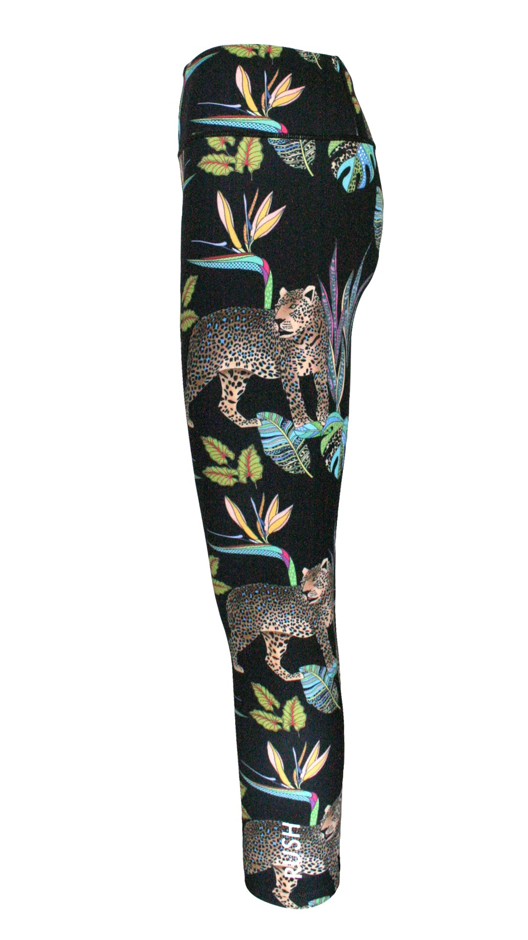 Cobalt Leopard Black F/L Leggings