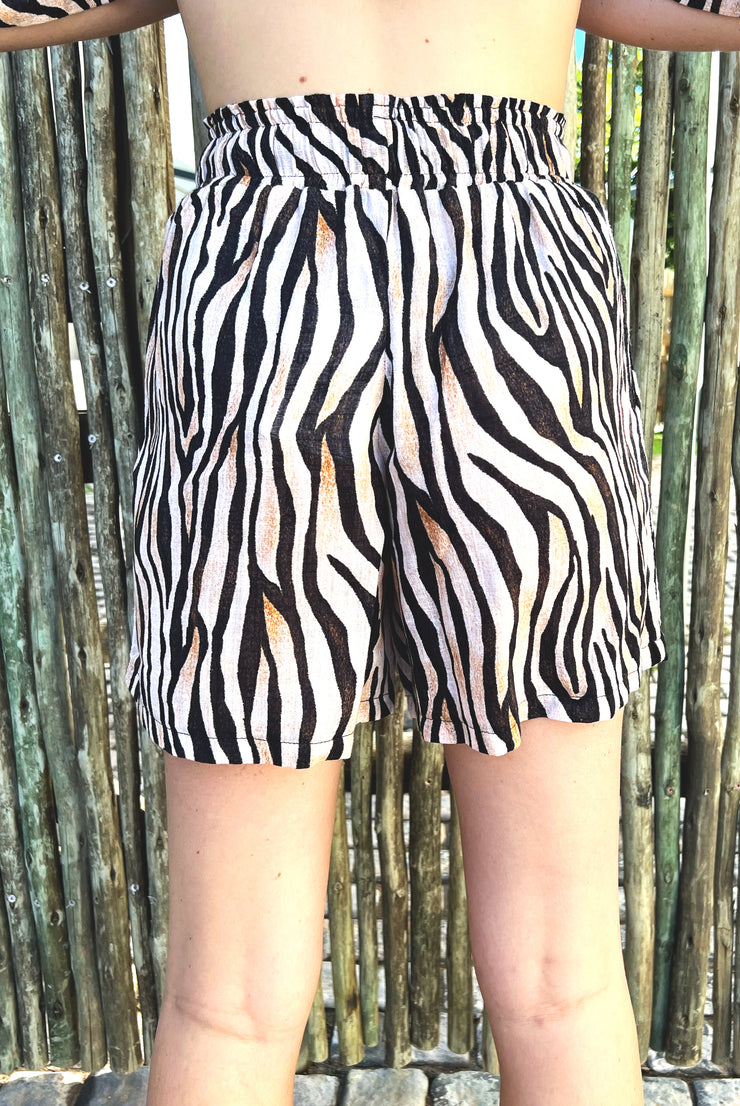 Zebra's Pride Amalfi Shorts